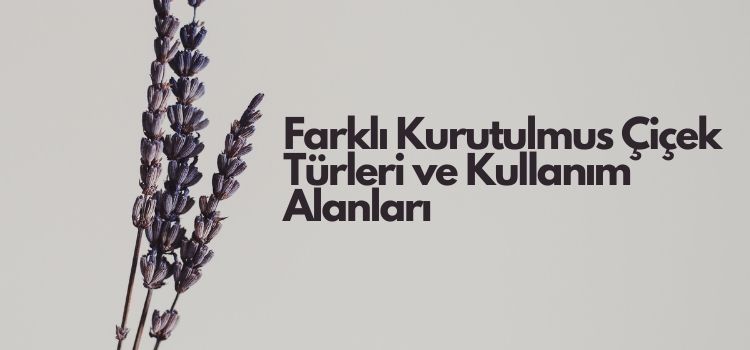 Farklı Kurutulmuş Çiçek Türleri ve Kullanım Alanları