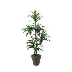 Yapay Dracena Ağacı 155 cm