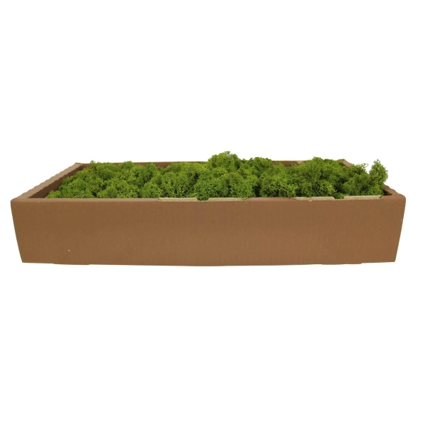 İthal Moss yosun 1500 Gram Model 2